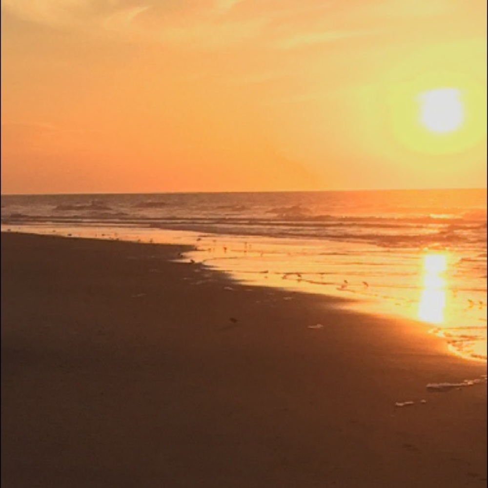 Meet your Posher, Mia